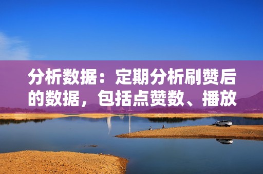 分析数据：定期分析刷赞后的数据，包括点赞数、播放量、粉丝增长等，以便及时调整刷赞策略。