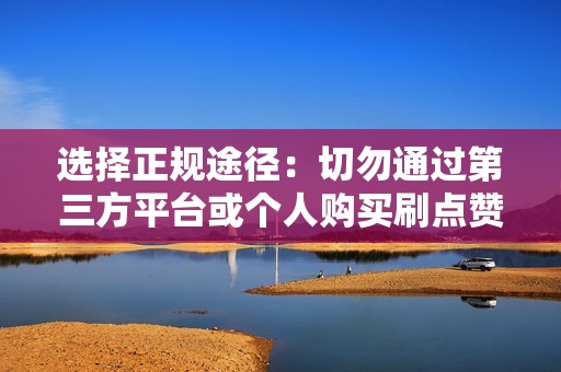 选择正规途径：切勿通过第三方平台或个人购买刷点赞服务。抖音官方从未授权任何第三方提供刷点赞服务。