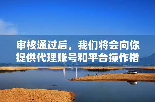 审核通过后，我们将会向你提供代理账号和平台操作指南