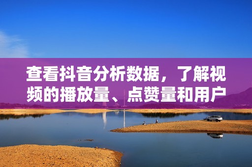 查看抖音分析数据，了解视频的播放量、点赞量和用户互动情况。