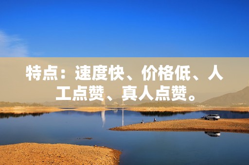 特点：速度快、价格低、人工点赞、真人点赞。