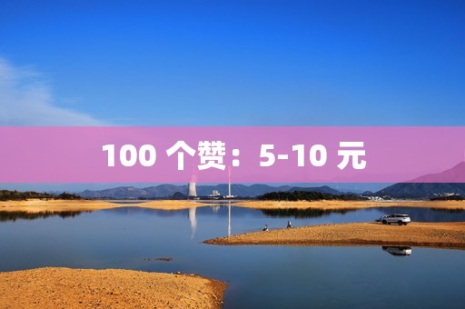 100 个赞：5-10 元