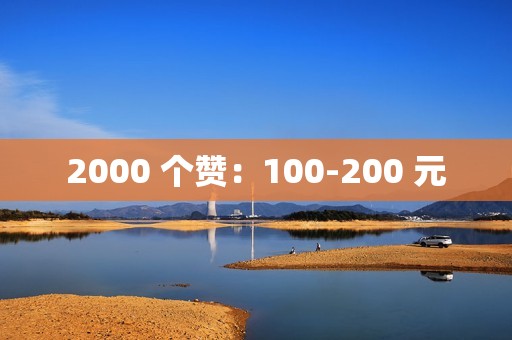 2000 个赞：100-200 元