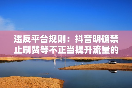 违反平台规则：抖音明确禁止刷赞等不正当提升流量的行为，一旦被平台发现，可能会遭到封号或其他处罚。